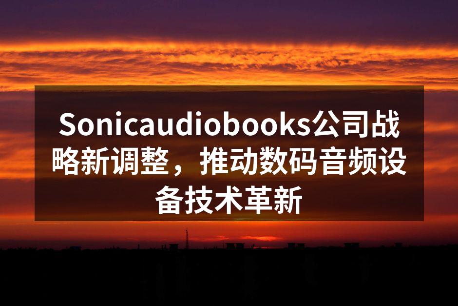 Sonicaudiobooks新研发团队正在进行技术讨论